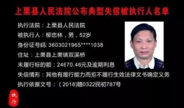东坡爆料视频大全最新一期,揭秘娱乐圈幕后真相